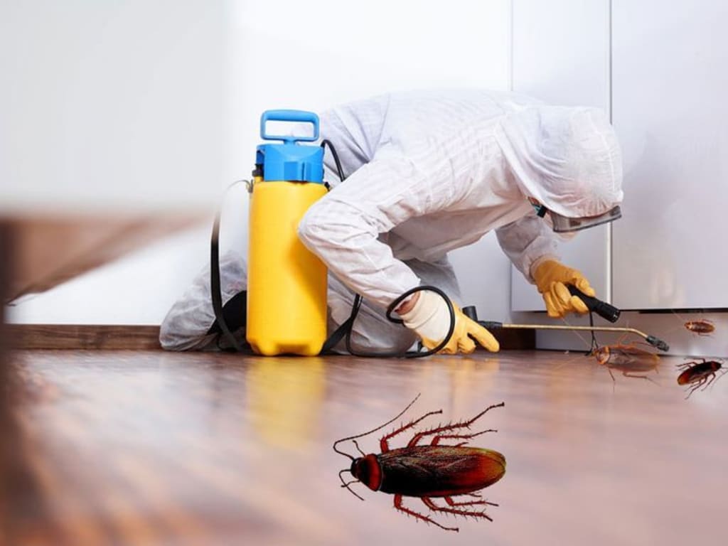 Termite Control